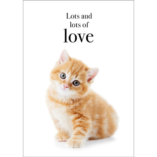 TM10 - Lots and lots of love - Cat Mini Card