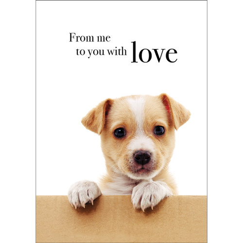 TM11 - From me to you with love - Dog Mini Card