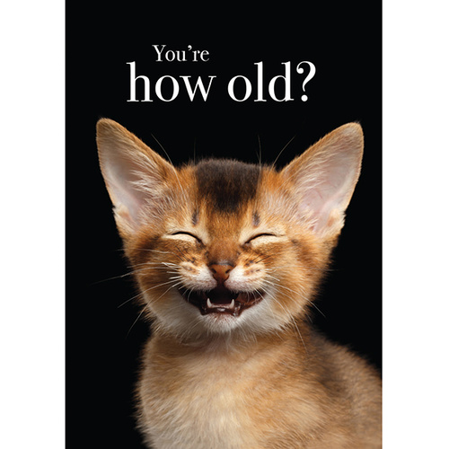 TM15 - You're how old? - Cat Mini Card