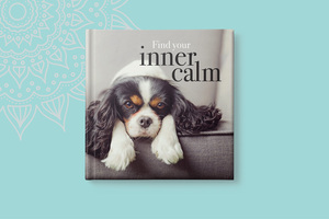 Finding calm in a chaotic world